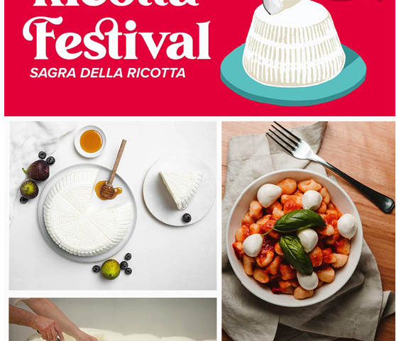 All things ricotta on 28th February 2021